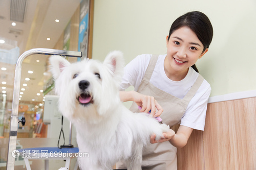 專業寵物美容 女性技師如何安全地為寵物狗修剪指甲