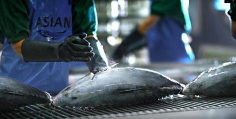 泰國食品巨頭ASIAN聯(lián)手monchou慕安士布局中國寵物服務(wù)市場