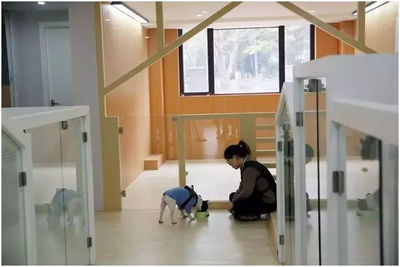 寵物寄養對標酒店分級制 開啟寵物服務新藍海