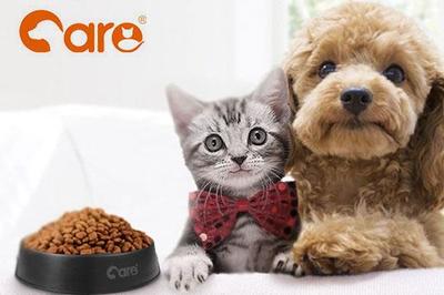 好主人寵物糧 科學(xué)配方，為愛寵提供全面營養(yǎng)與專業(yè)寵物服務(wù)